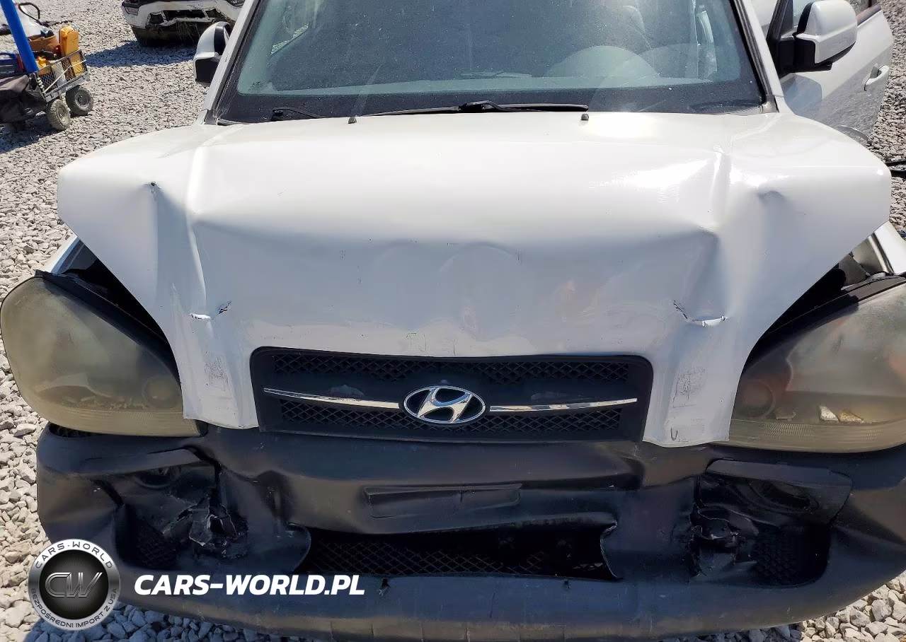 2005 Hyundai Tucson Gls VIN:KM8JN72D05U085867 - 12
