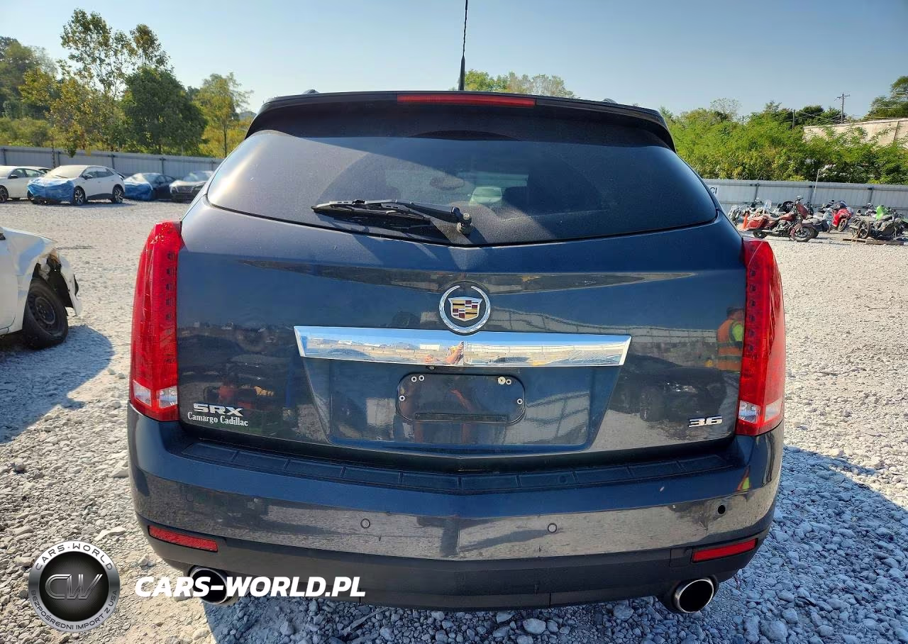 2013 Cadillac Srx Luxury Collection VIN:3GYFNCE30DS516030 - 6
