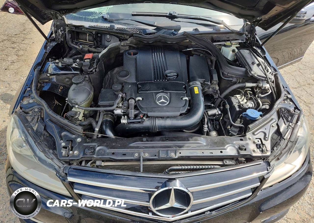 2013 Mercedes-Benz C 250 VIN:SDDGF4HB9DR269941 - 11