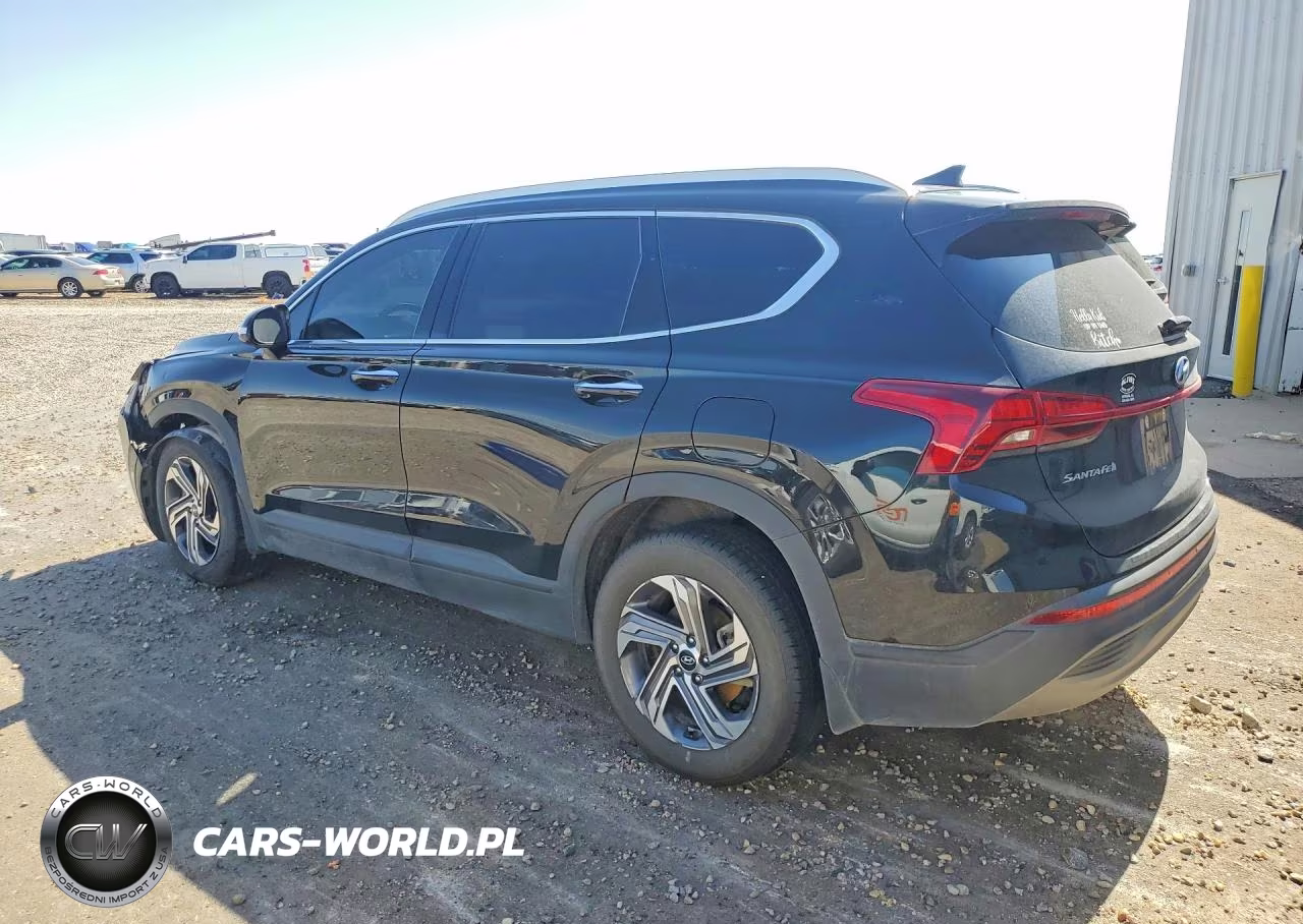 2023 Hyundai Santa Fe Sel VIN:5NMS24AJ6PH640077 - 2