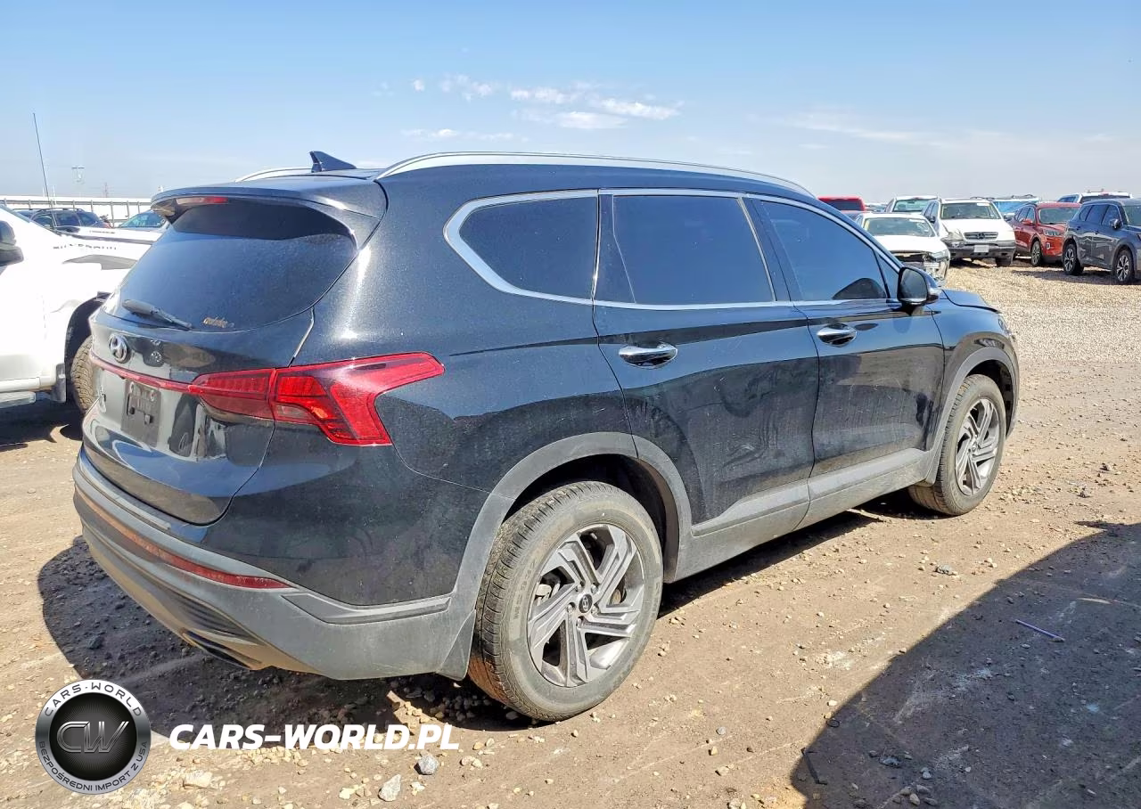 2023 Hyundai Santa Fe Sel VIN:5NMS24AJ6PH640077 - 3