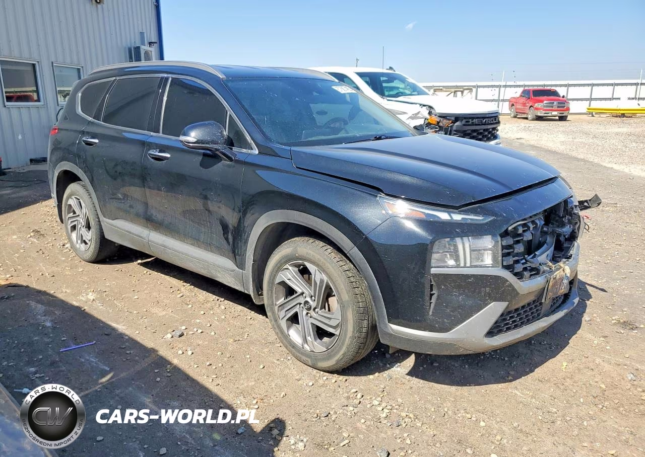 2023 Hyundai Santa Fe Sel VIN:5NMS24AJ6PH640077 - 4