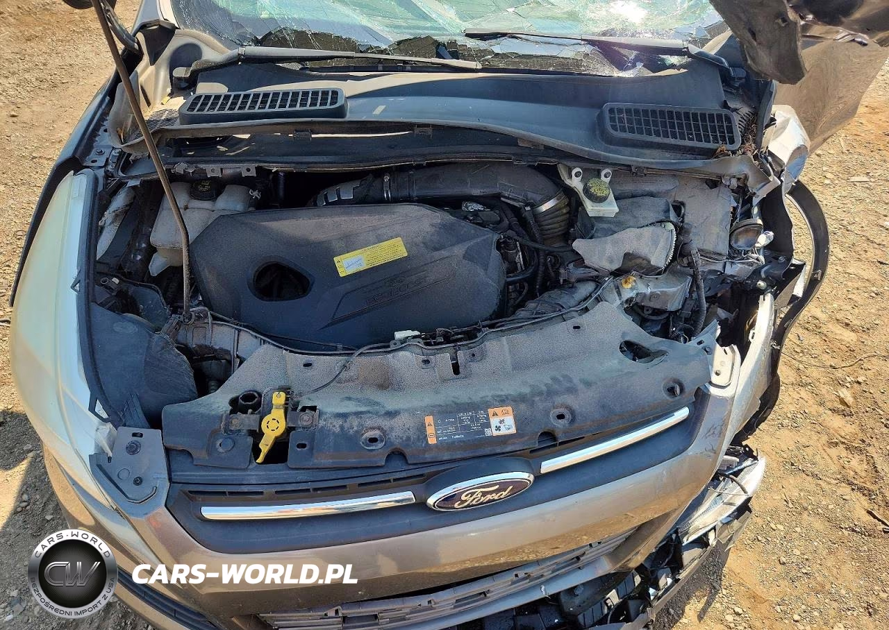 2014 Ford Escape Se VIN:1FMCU0GX6EUC98666 - 12