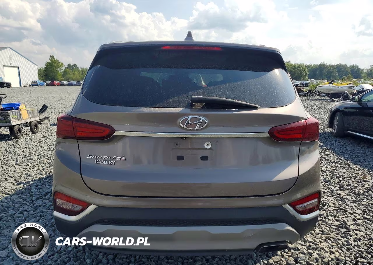 2019 Hyundai Santa Fe Sel 2.4L VIN:5NMS33AD1KH073769 - 6