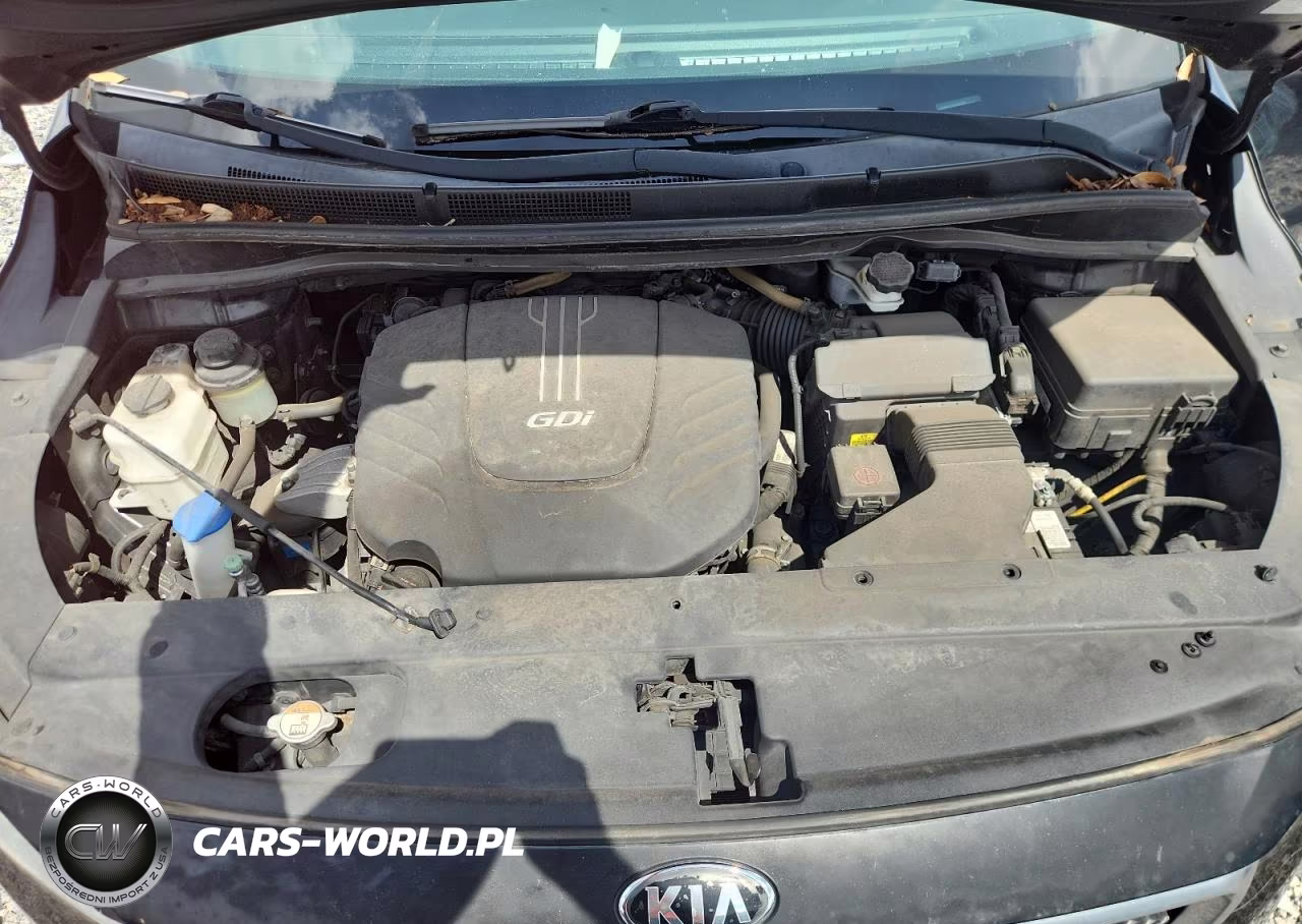 2016 Kia Sedona Lx VIN:KNDMB5C15G6198398 - 12