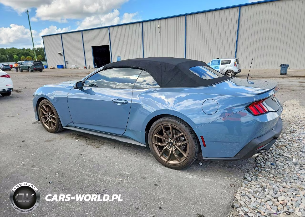 2024 Ford Mustang VIN:1FAGP8UH8R5105335 - 2