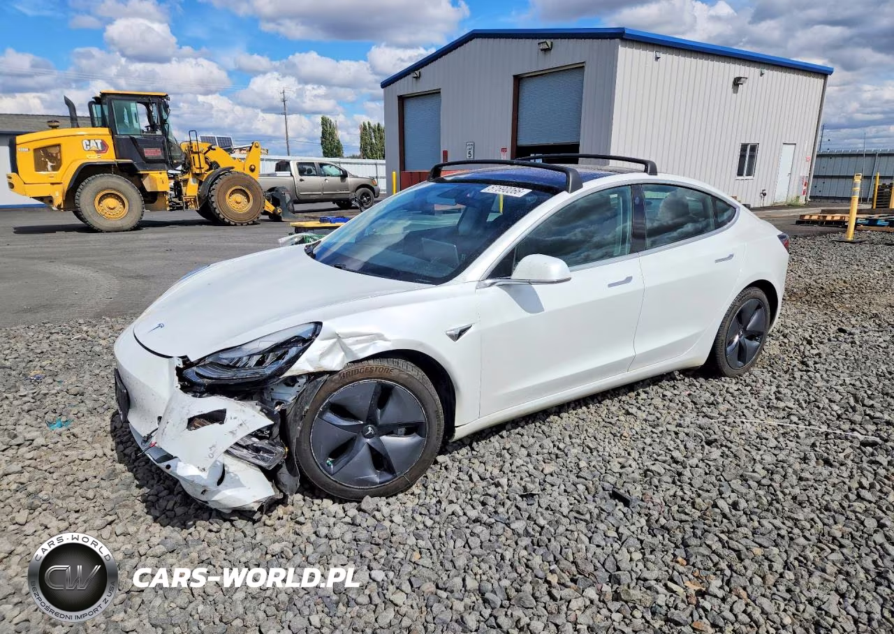 2019 Tesla Model 3