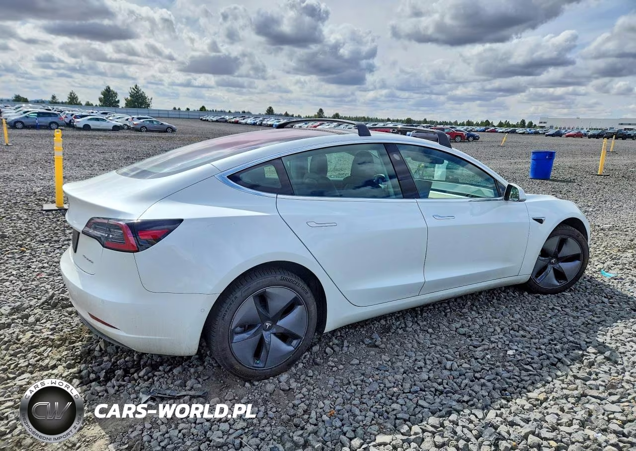 2019 Tesla Model 3 VIN:5YJ3E1EB1KF199773 - 3