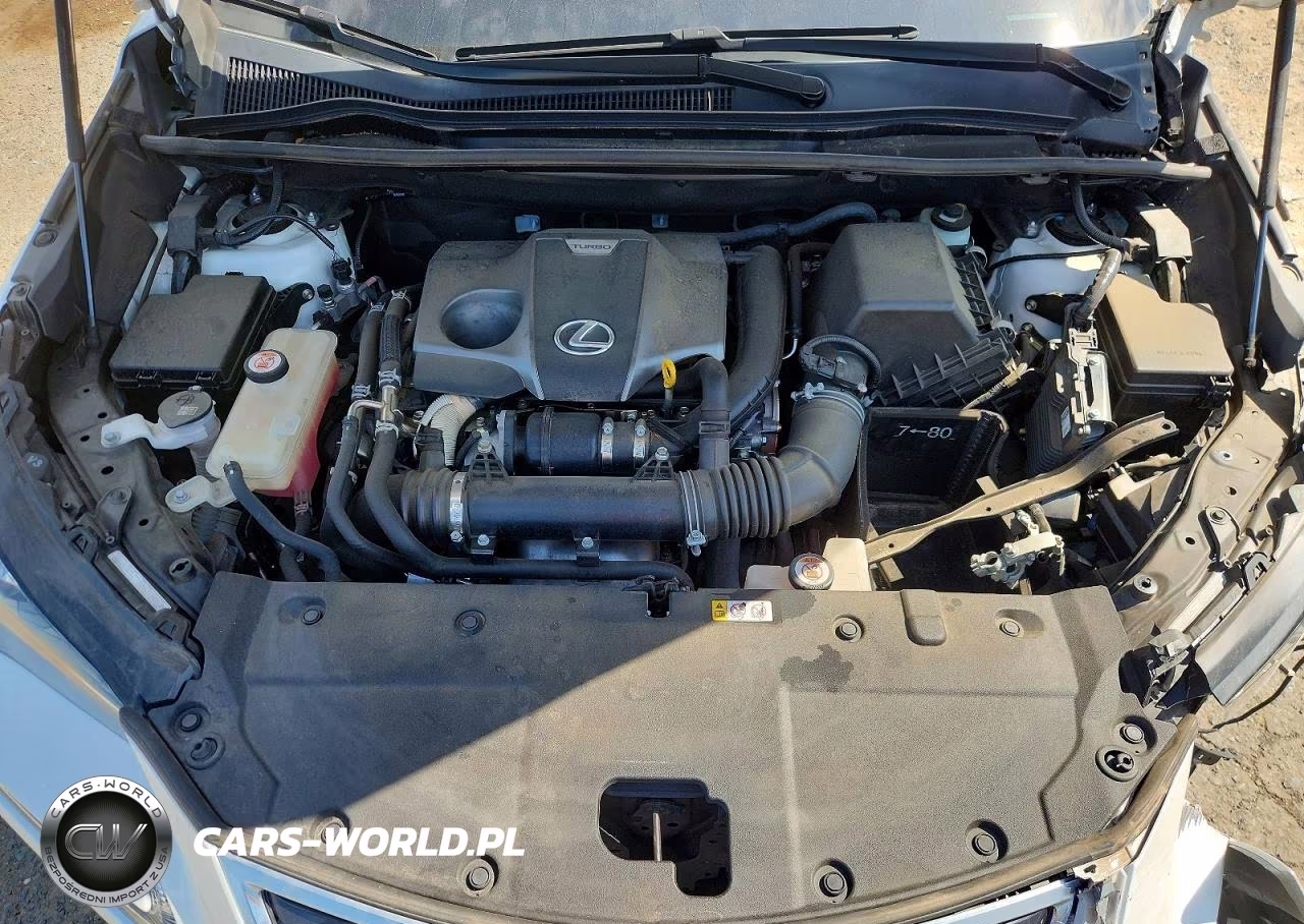 2021 Lexus Nx 300 Base VIN:JTJDARBZ5M5022158 - 12