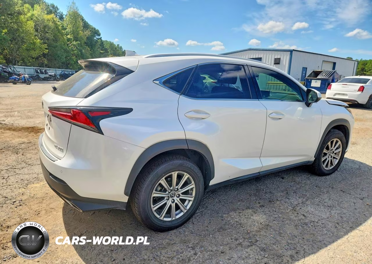 2021 Lexus Nx 300 Base VIN:JTJDARBZ5M5022158 - 3