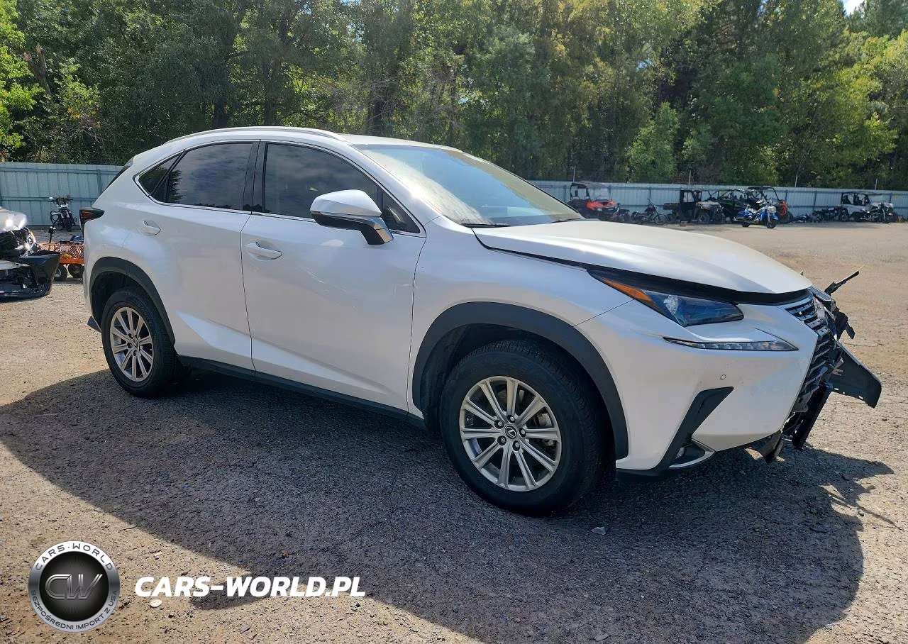 2021 Lexus Nx 300 Base VIN:JTJDARBZ5M5022158 - 4