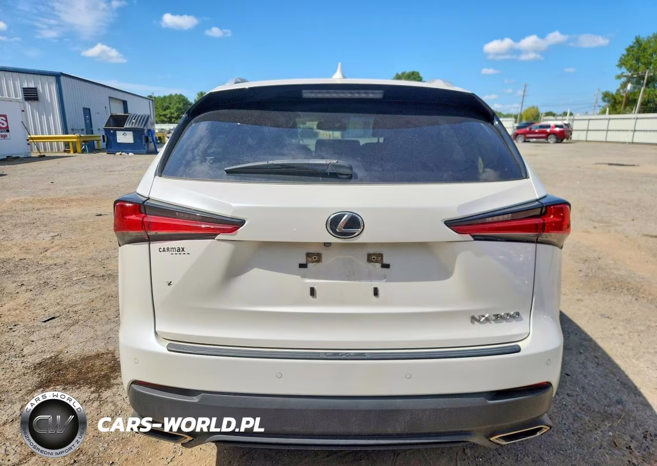 2021 Lexus Nx 300 Base VIN:JTJDARBZ5M5022158 - 6