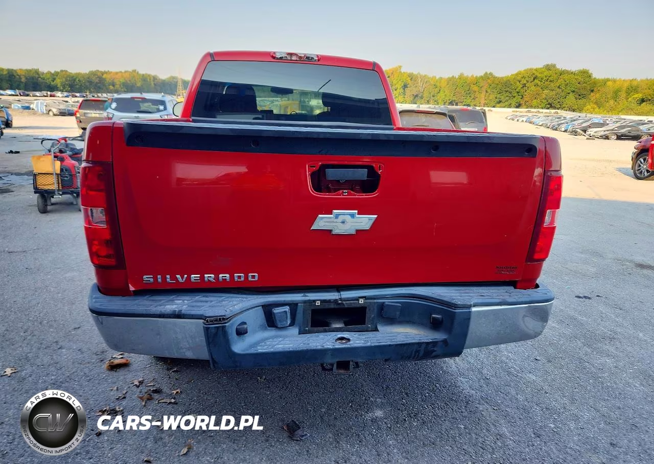 2009 Chevrolet Silverado C1500 VIN:1GCEC19X79Z130580 - 6