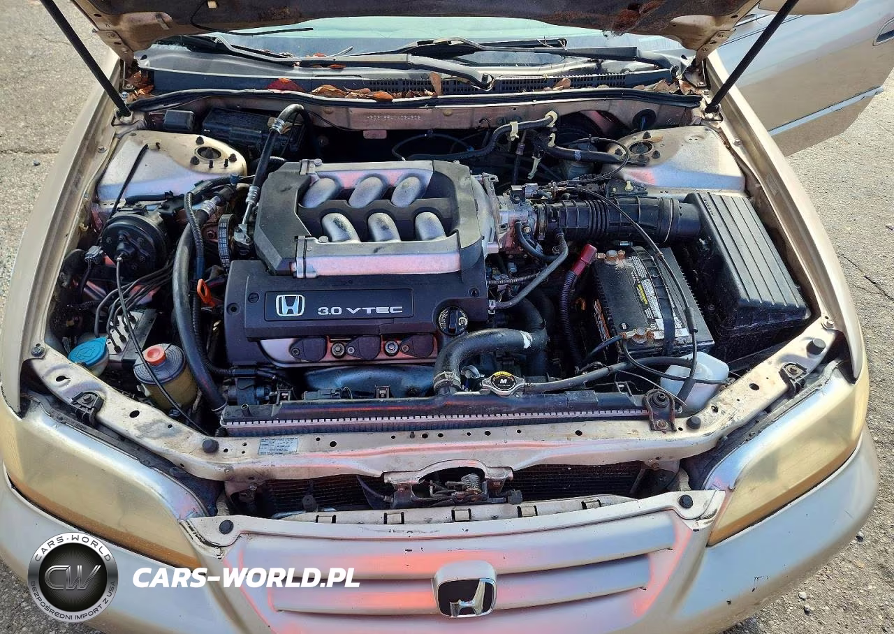 2001 Honda Accord Ex VIN:1HGCG16541A024302 - 11