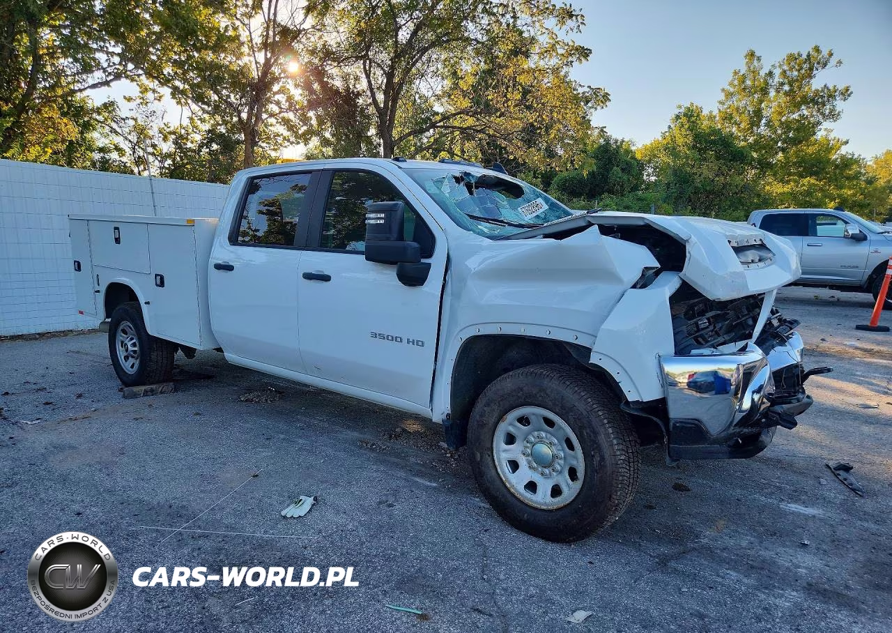 2025 Chevrolet Silverado K3500 VIN:1GB4KSEY3SF212868 - 4