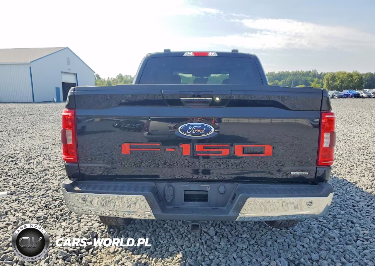 2022 Ford F-150 Xlt VIN:1FTFW1E85NFA23355 - 6