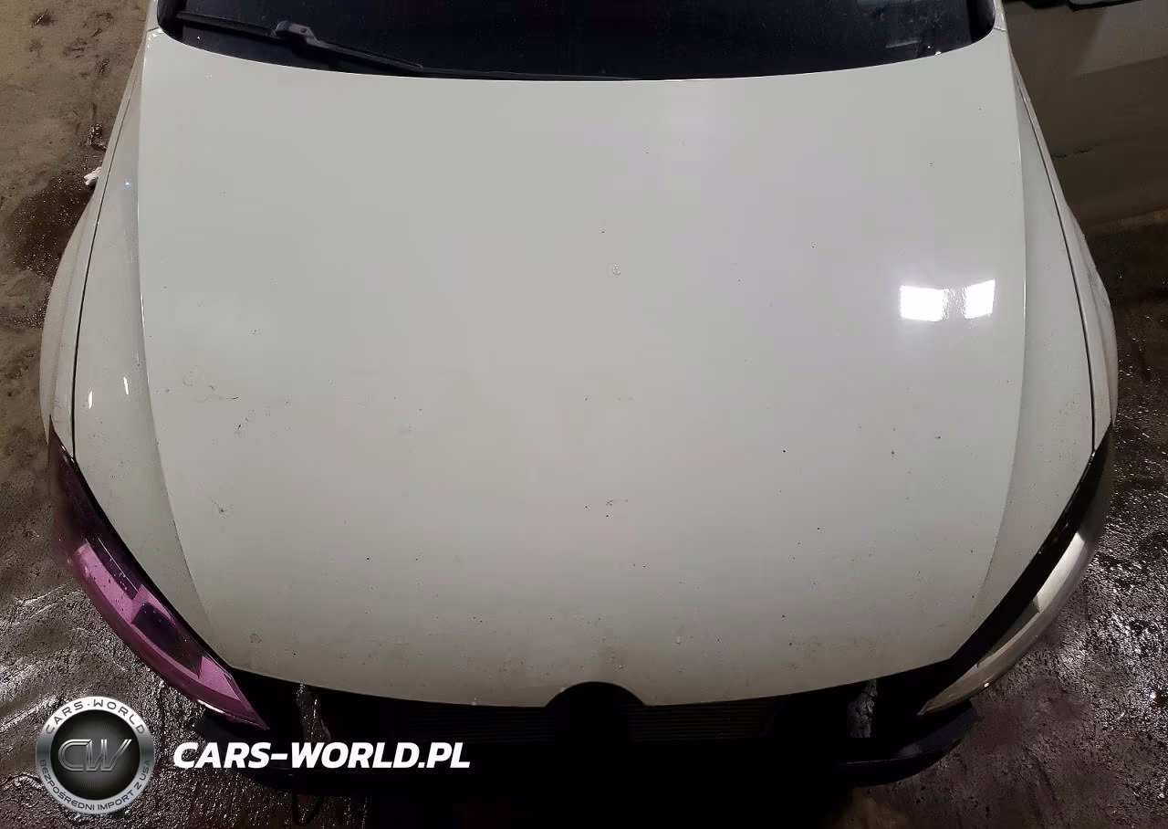 2015 Volkswagen Golf VIN:3VW817AU2FM066983 - 11