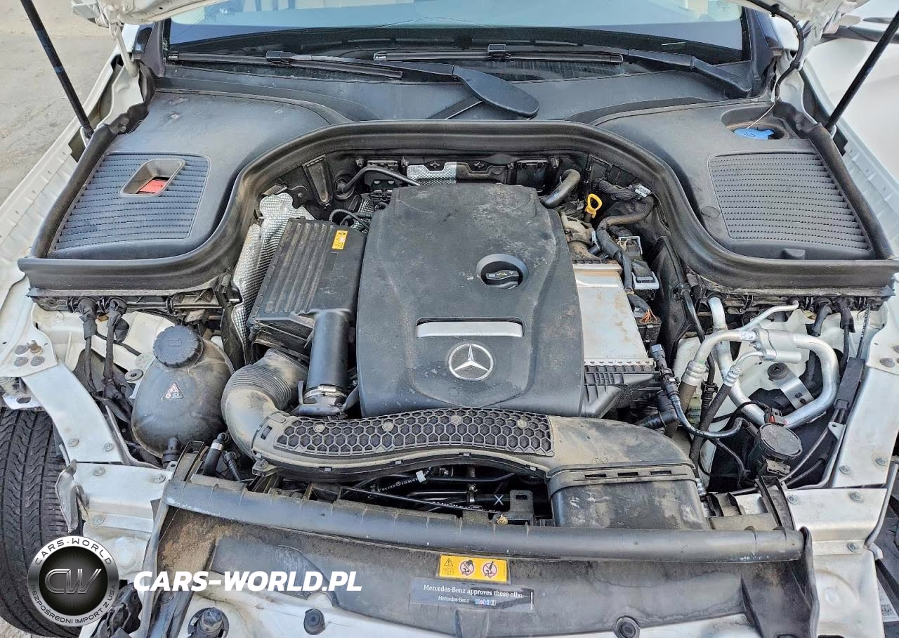 2019 Mercedes-Benz Glc 300 VIN:WDC0G4JB6KV135762 - 12