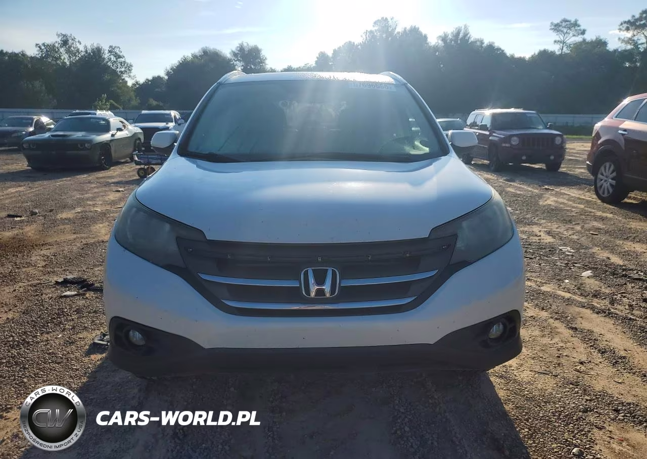 2013 Honda Cr-V Exl VIN:5J6RM3H73DL026184 - 5