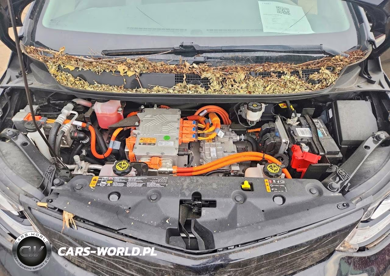 2020 Chevrolet Bolt Ev Lt VIN:1G1FY6S09L4132098 - 11