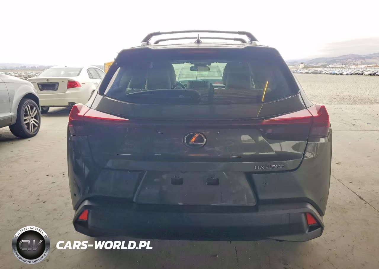 2022 Lexus Ux 250H Base VIN:JTHX9JBH8N2059319 - 6