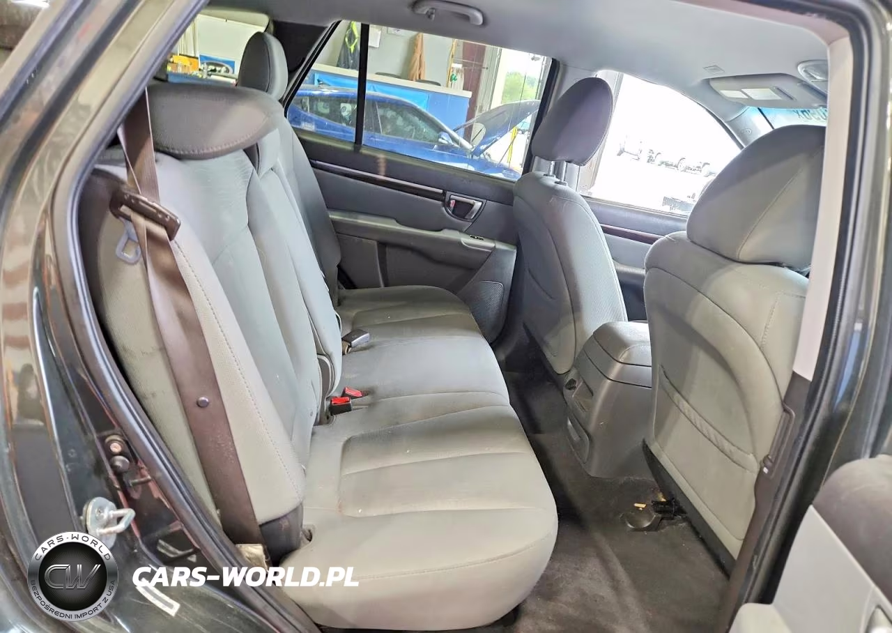 2010 Hyundai Santa Fe Gls VIN:5NMSGDAB9AH407991 - 11