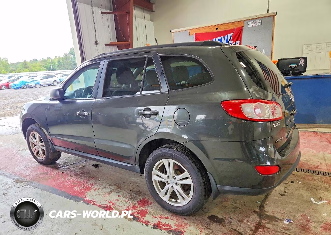 2010 Hyundai Santa Fe Gls VIN:5NMSGDAB9AH407991 - 2
