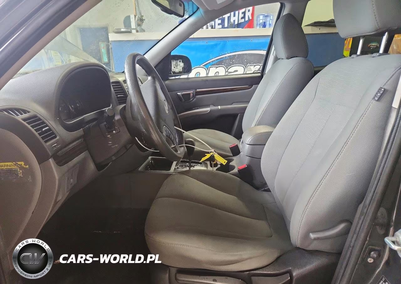 2010 Hyundai Santa Fe Gls VIN:5NMSGDAB9AH407991 - 7
