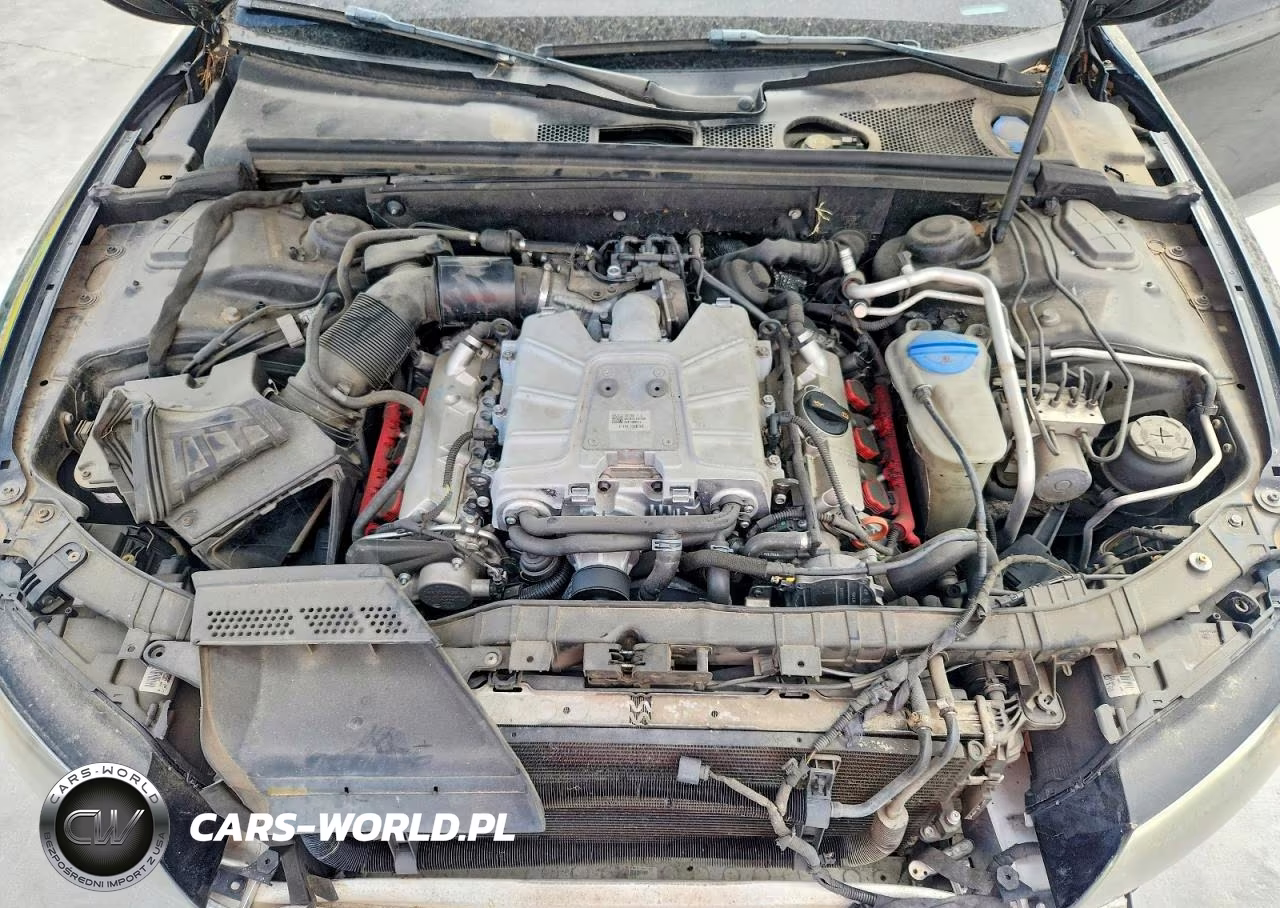 2011 Audi S5 Prestige VIN:WAUVGAFH5BN003385 - 11