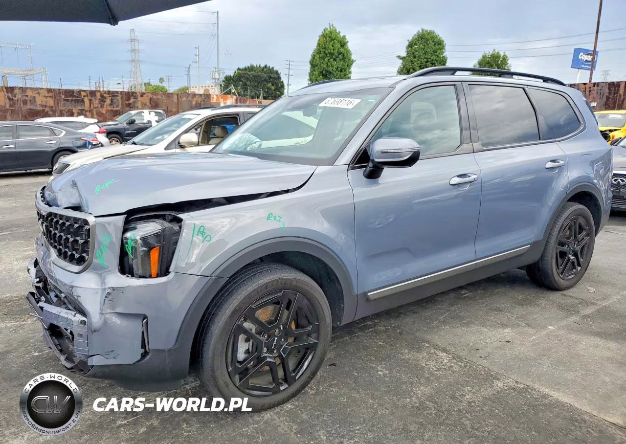 2023 Kia Telluride Ex X-Line VIN:5XYP3DGC0PG353713 - 1