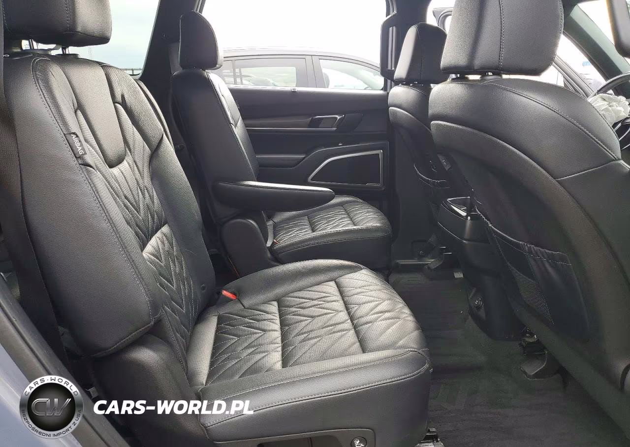 2023 Kia Telluride Ex X-Line VIN:5XYP3DGC0PG353713 - 10