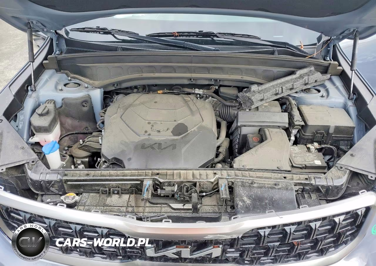 2023 Kia Telluride Ex X-Line VIN:5XYP3DGC0PG353713 - 11