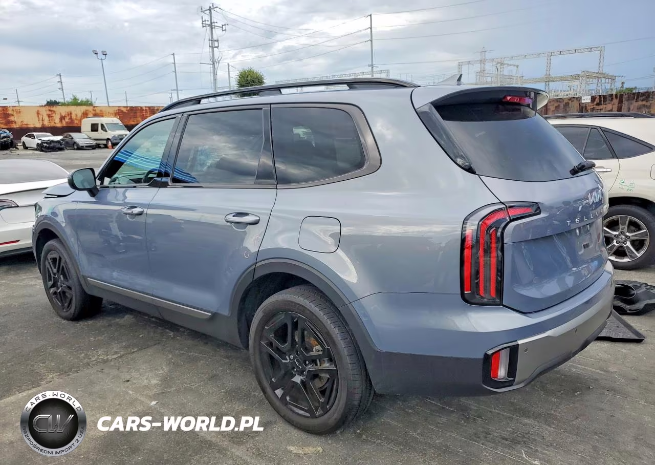 2023 Kia Telluride Ex X-Line VIN:5XYP3DGC0PG353713 - 2