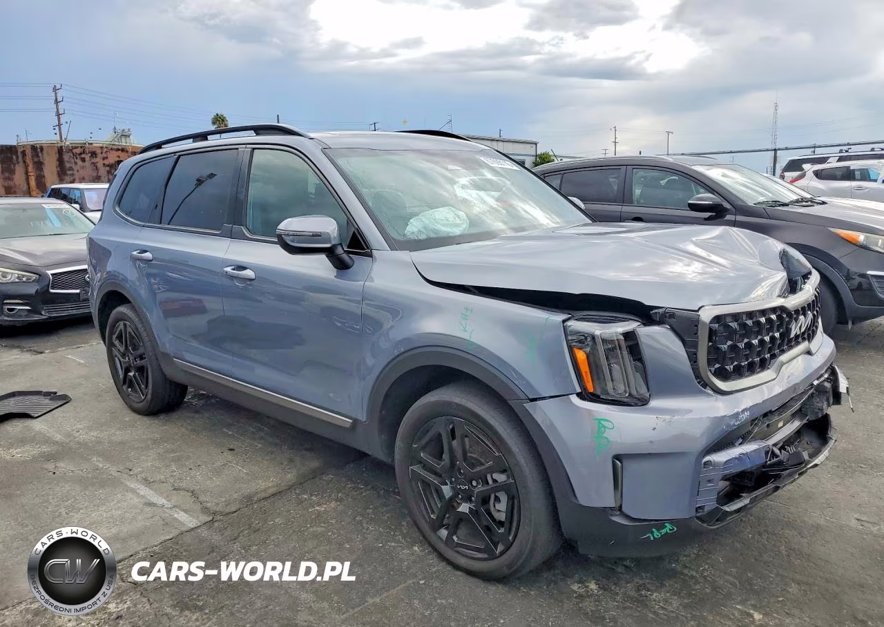 2023 Kia Telluride Ex X-Line VIN:5XYP3DGC0PG353713 - 4