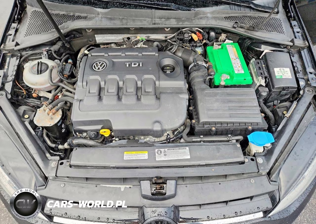 2015 Volkswagen Golf Tdi VIN:3VWRA7AUXFM082238 - 11