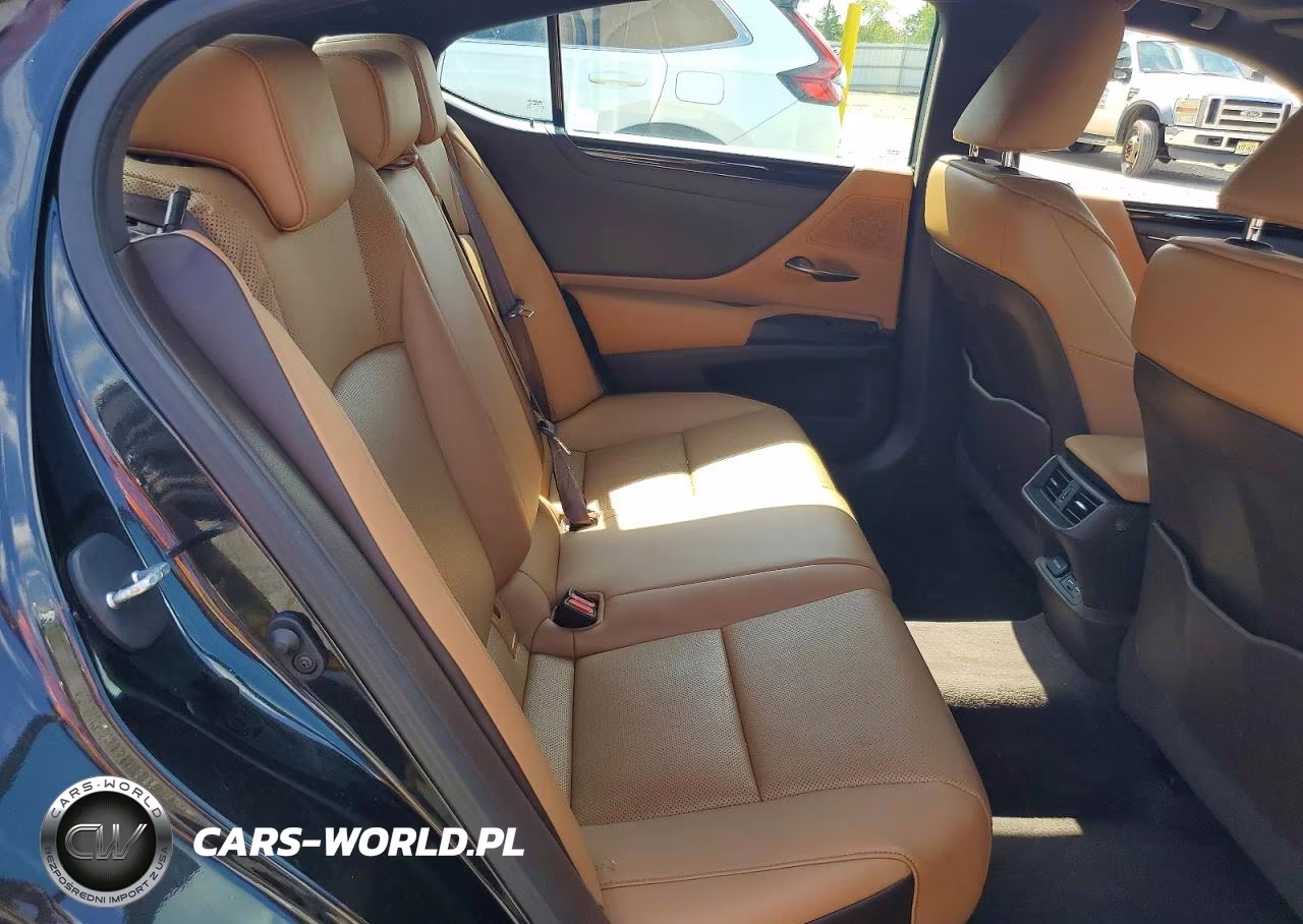 2020 Lexus Es 350 VIN:58ADZ1B12LU078428 - 10