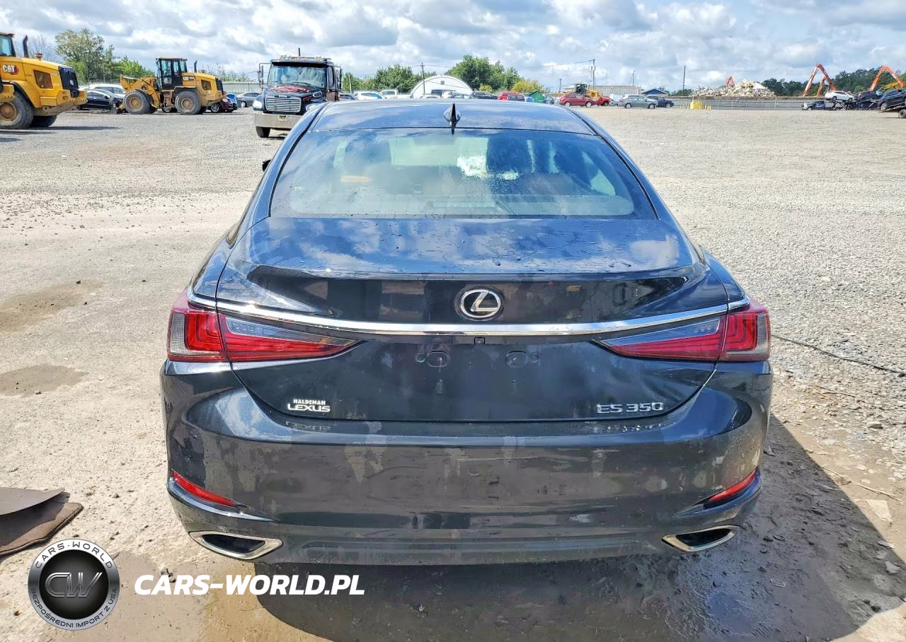 2020 Lexus Es 350 VIN:58ADZ1B12LU078428 - 6