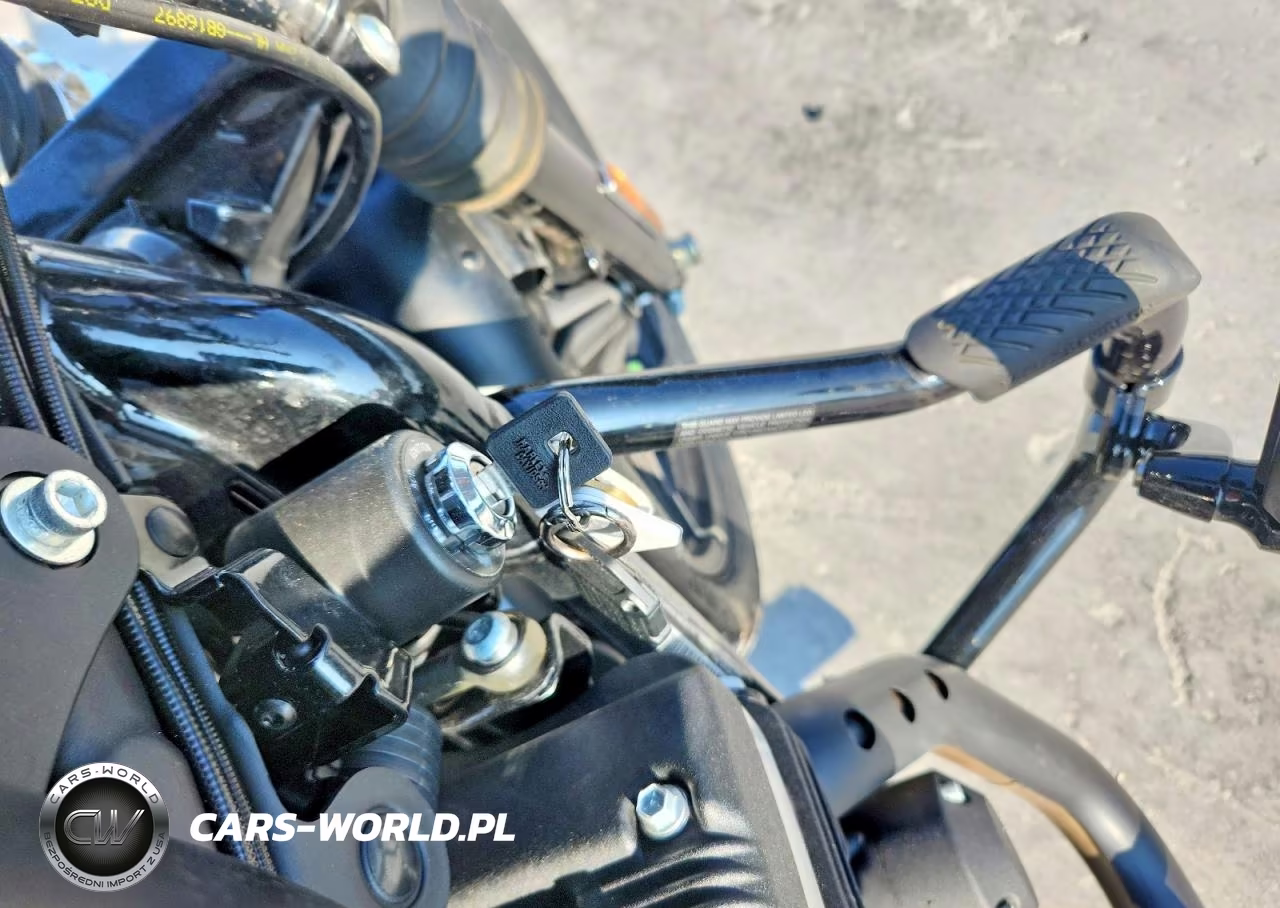 2020 Harley-Davidson Xl883 N VIN:1HD4LE219LB431696 - 8