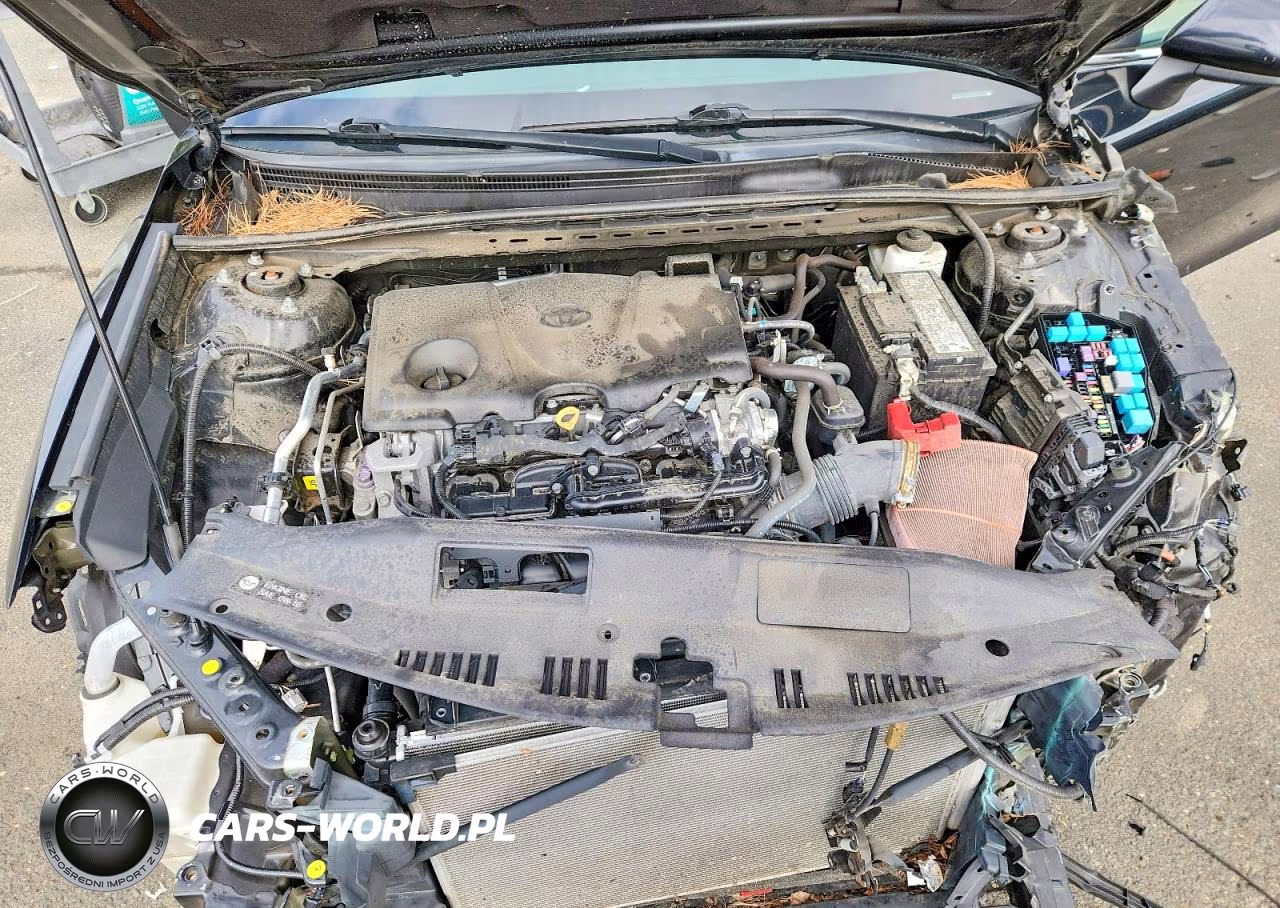 2021 Toyota Camry Le VIN:4T1C11BK1MU020721 - 11