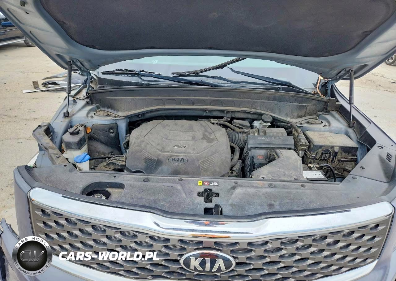 2020 Kia Telluride Lx VIN:5XYP24HC7LG018427 - 12