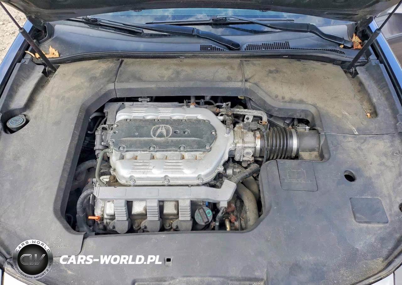 2009 Acura Tl VIN:19UUA96509A002703 - 11