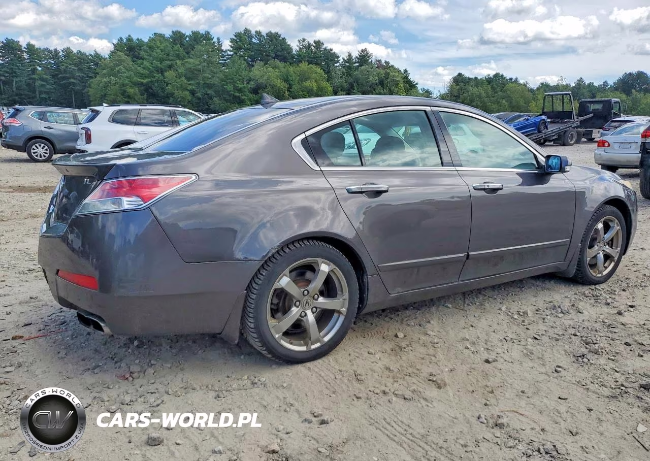 2009 Acura Tl VIN:19UUA96509A002703 - 3