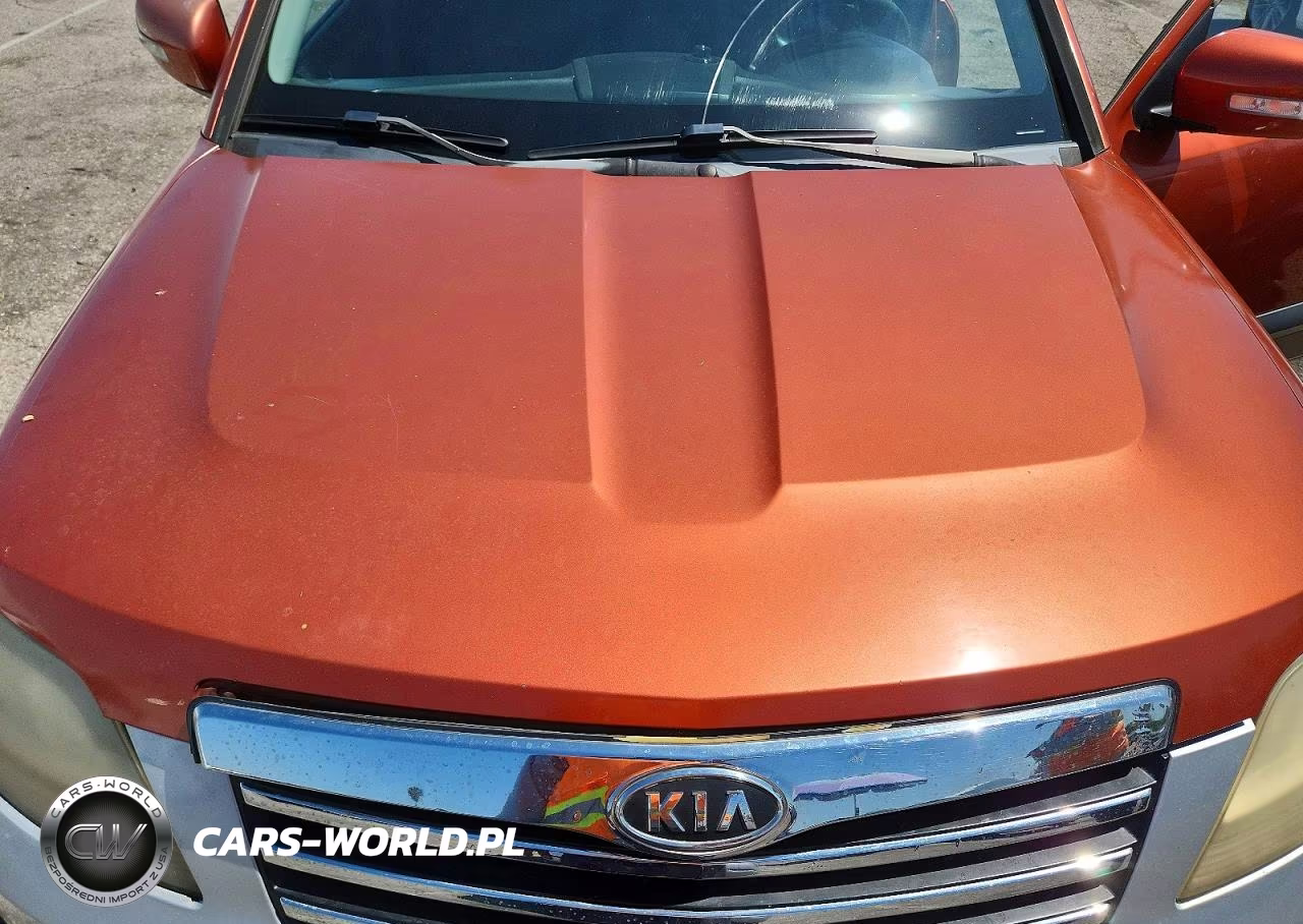 2009 Kia Borrego Lx VIN:KNDJJ741395027688 - 11
