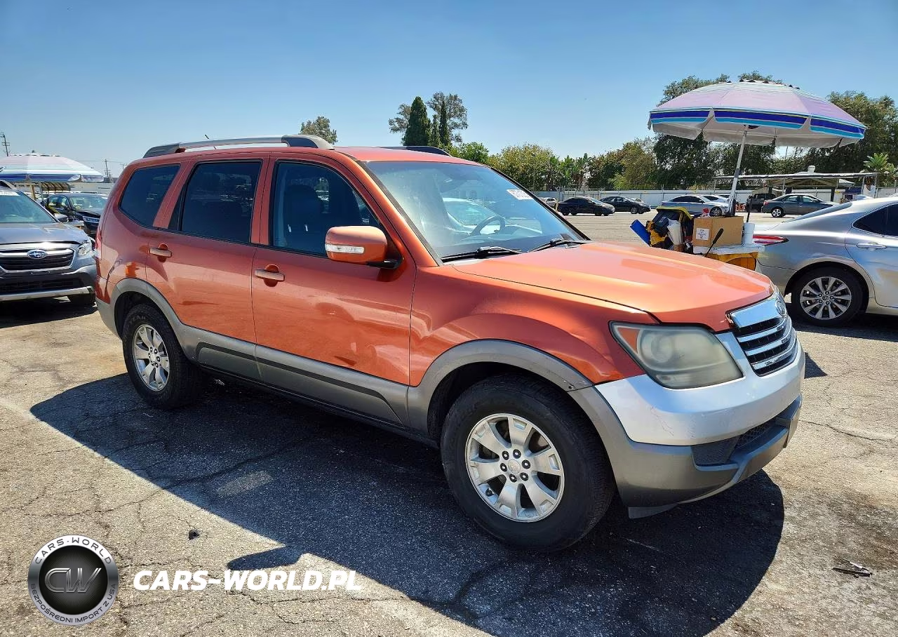 2009 Kia Borrego Lx VIN:KNDJJ741395027688 - 4