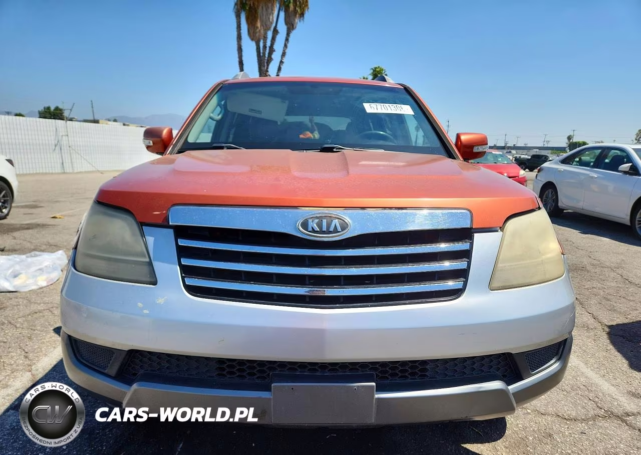 2009 Kia Borrego Lx VIN:KNDJJ741395027688 - 5