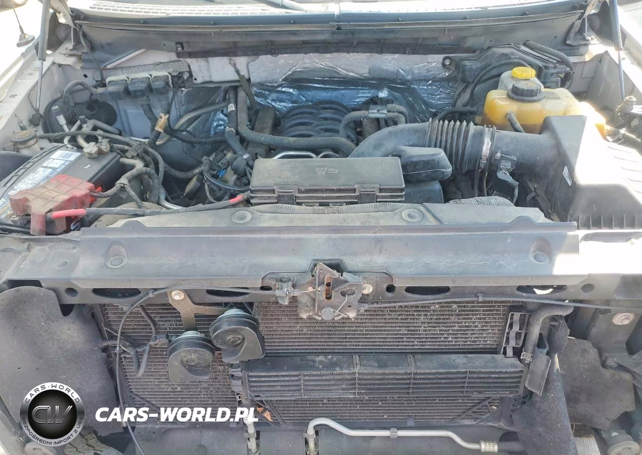 2014 Ford F150 Supercrew VIN:1FTFW1EF3EFB67064 - 11