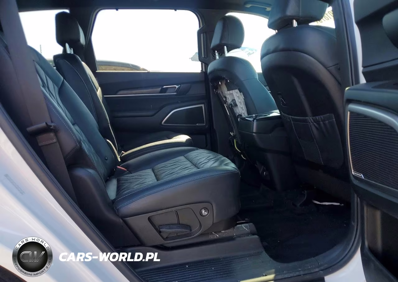 2025 Kia Telluride Ex X-Line VIN:5XYP3DGC3SG573758 - 10