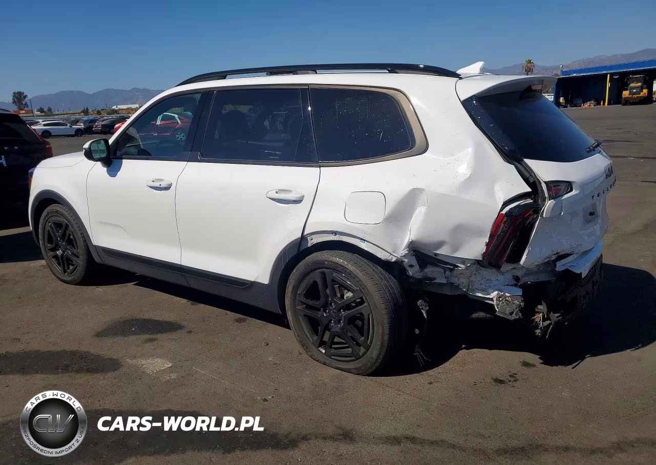 2025 Kia Telluride Ex X-Line VIN:5XYP3DGC3SG573758 - 2