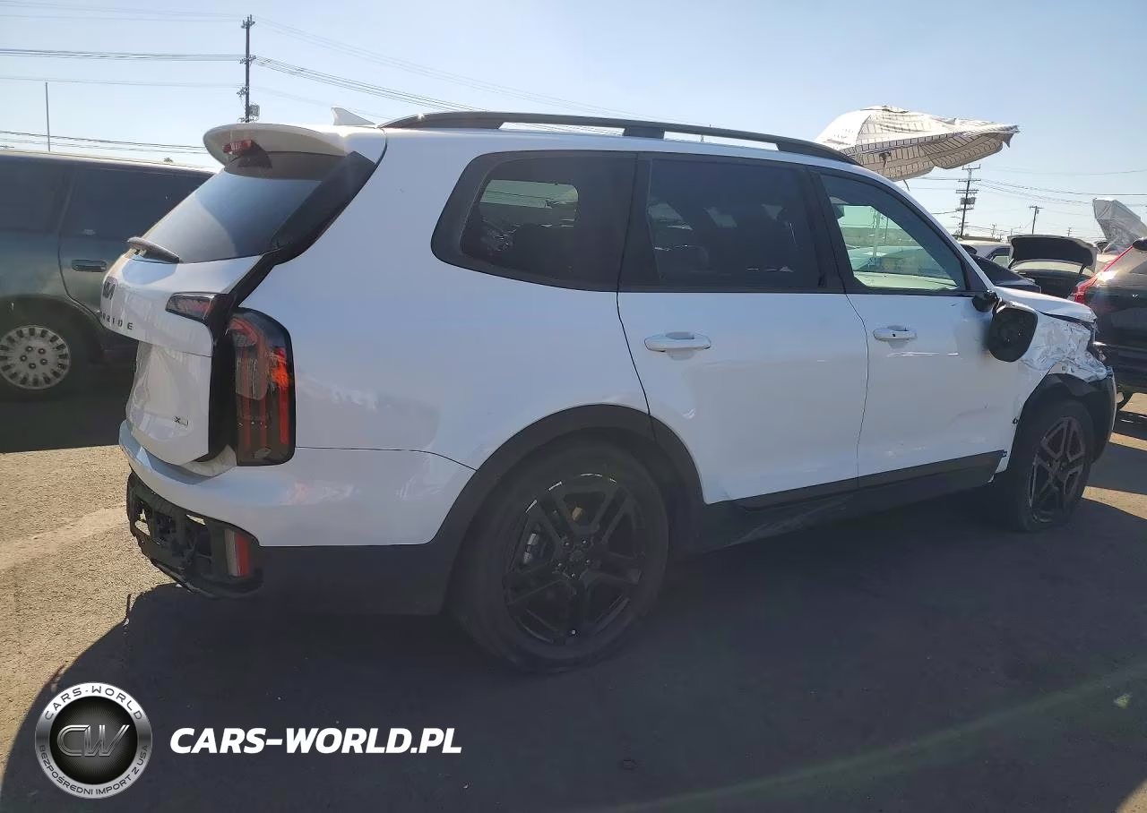 2025 Kia Telluride Ex X-Line VIN:5XYP3DGC3SG573758 - 3