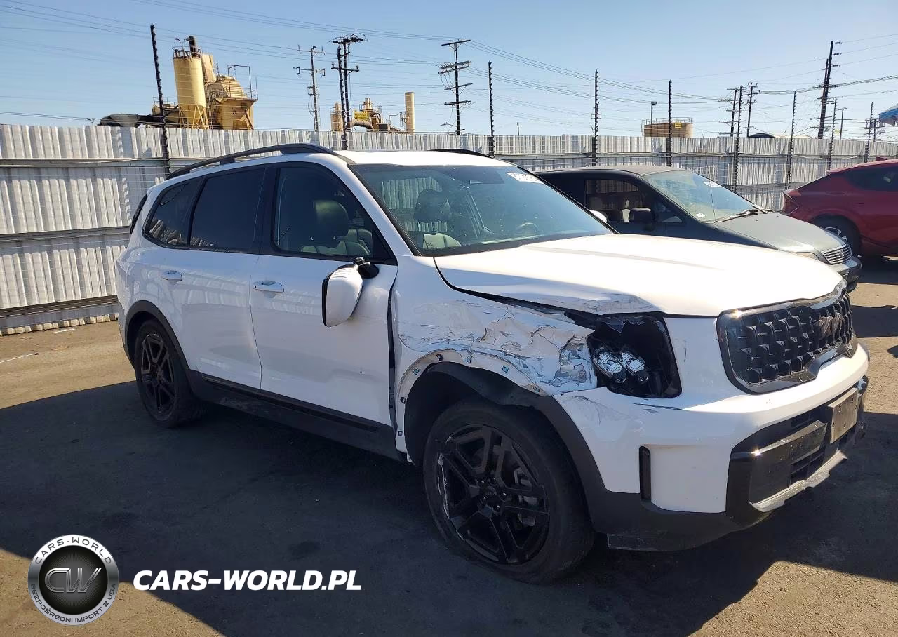 2025 Kia Telluride Ex X-Line VIN:5XYP3DGC3SG573758 - 4